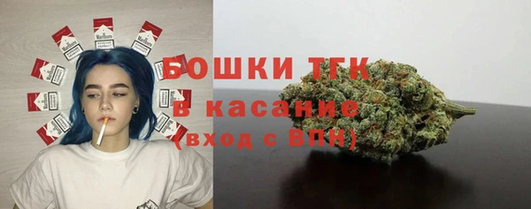 хмурый Верхний Тагил